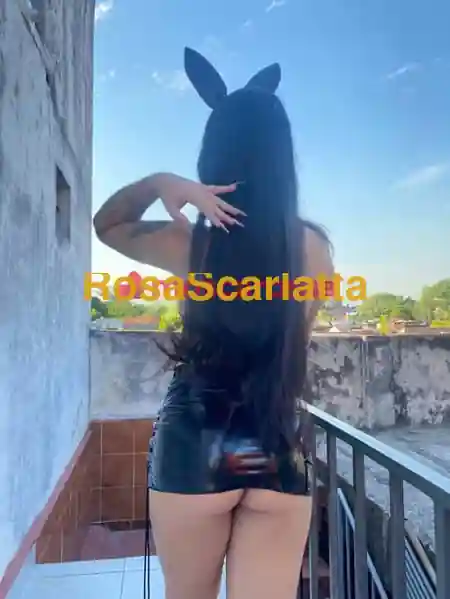 Seconda immagine della gallery