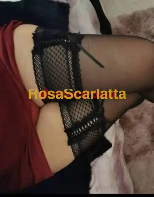 Seconda immagine della gallery