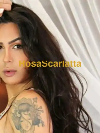 Prima immagine della gallery