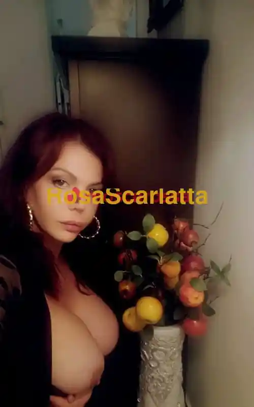 Terza immagine della gallery