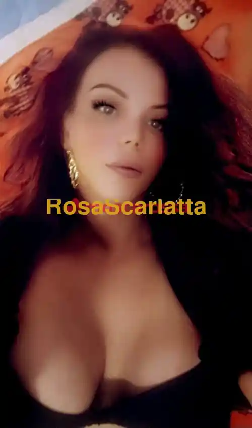 Seconda immagine della gallery