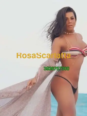 New