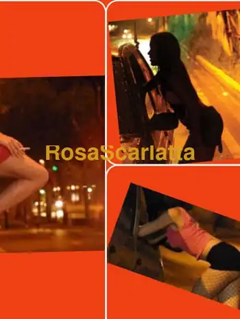 Bruna trans