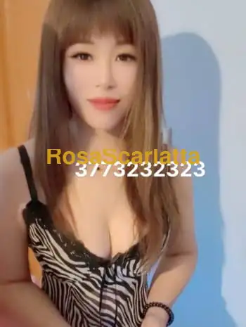 Prima immagine della gallery