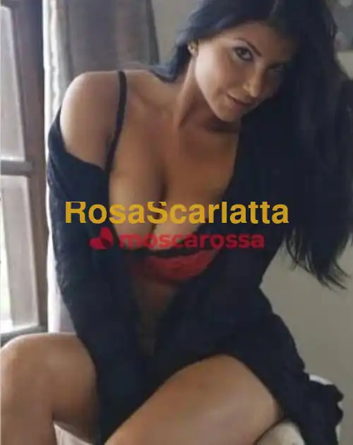 Seconda immagine della gallery