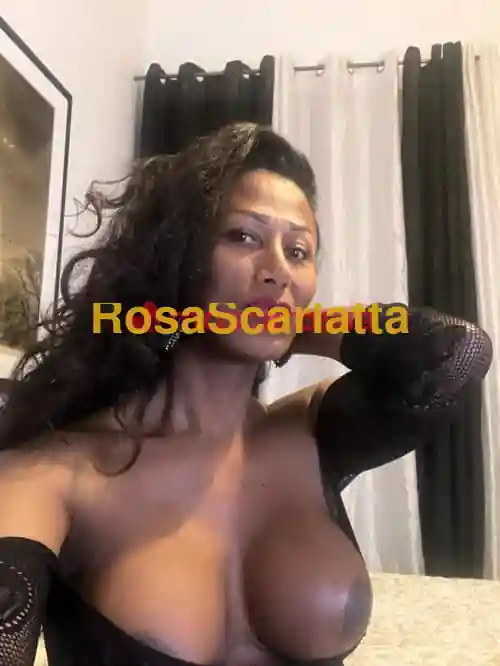 Seconda immagine della gallery