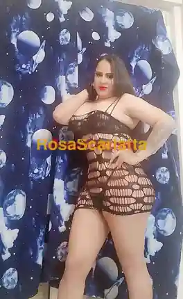 Seconda immagine della gallery