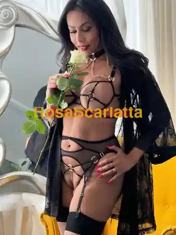 Seconda immagine della gallery