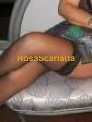 Prima immagine della gallery