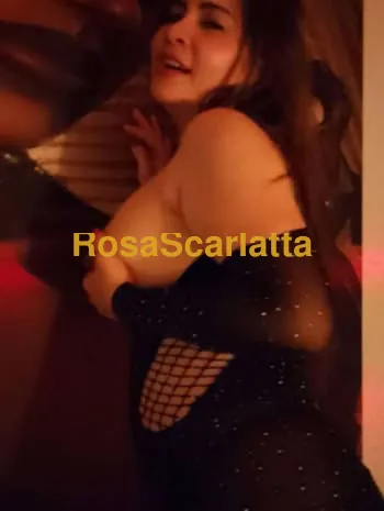  - Torino