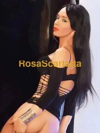 Bella trans brasiliana