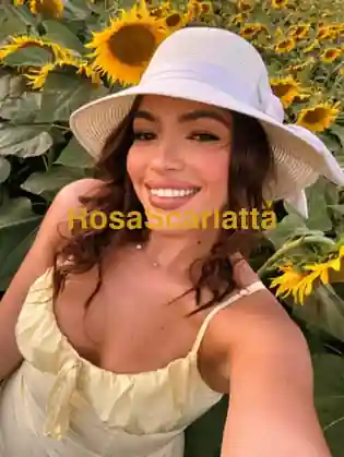 Aurora estella - Pistoia