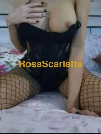 Prima immagine della gallery