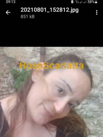 Viola