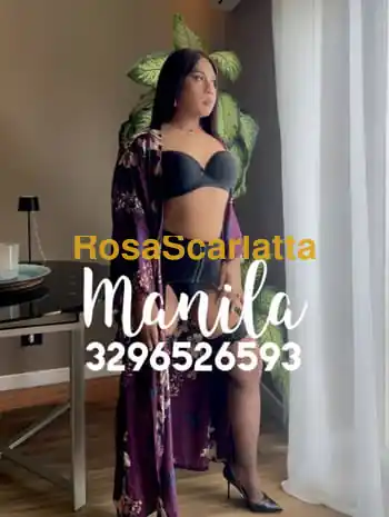 Manila asiatica - Savona