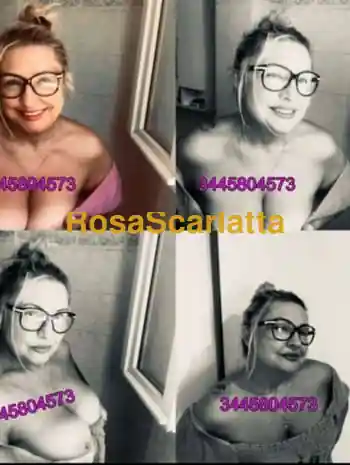 New