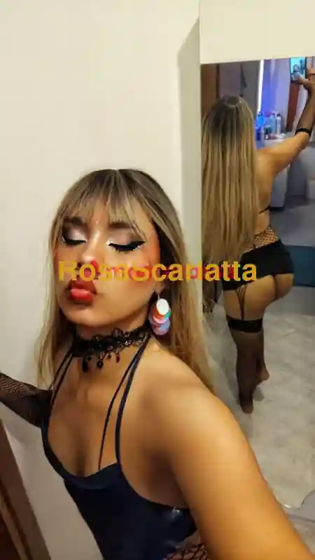 Seconda immagine della gallery