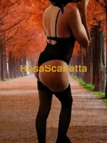 Prima immagine della gallery