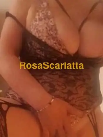 Casalinga milf porcellina - Cuneo