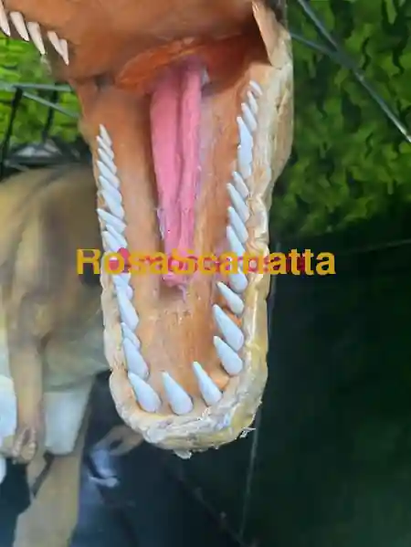 Seconda immagine della gallery