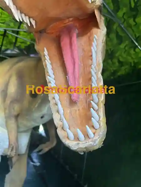 Terza immagine della gallery