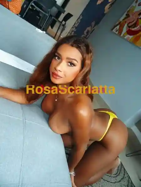 Seconda immagine della gallery