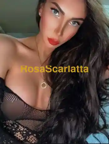 Fiorella trans
