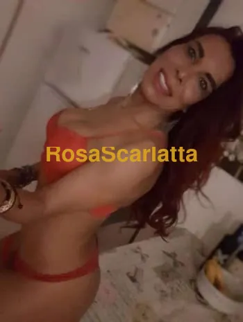 Alessandratrans