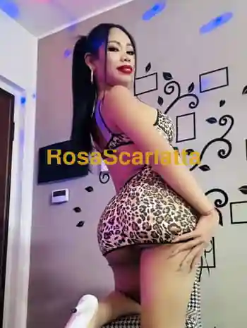 Prima immagine della gallery