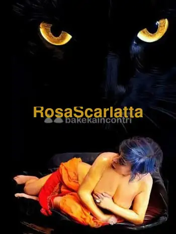 Prima immagine della gallery