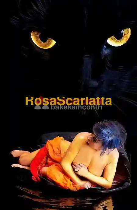 Terza immagine della gallery