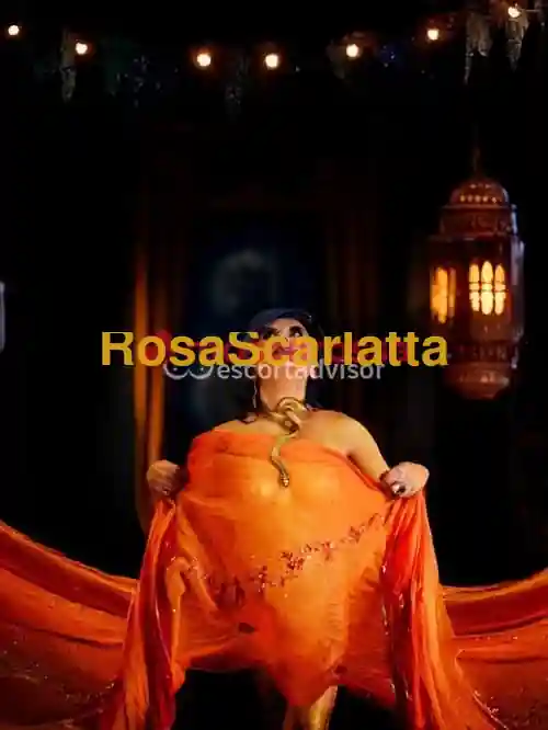 Seconda immagine della gallery