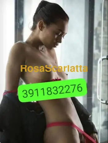 La tua  cagnolina in calore