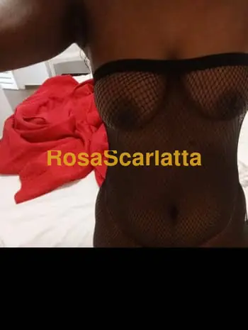 Amandina - Matera