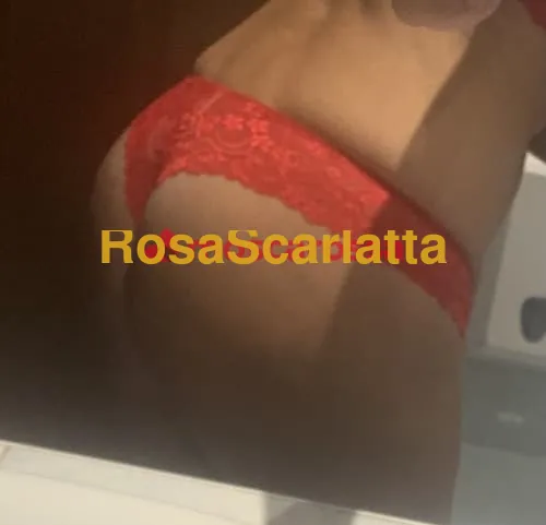 Seconda immagine della gallery