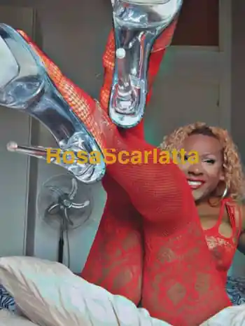 Prima immagine della gallery