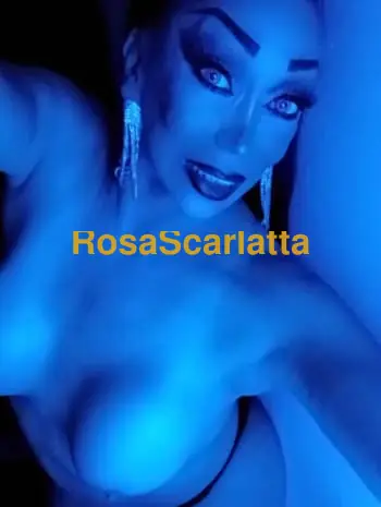 Veronica trans milf