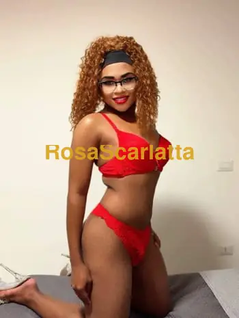 Prima immagine della gallery