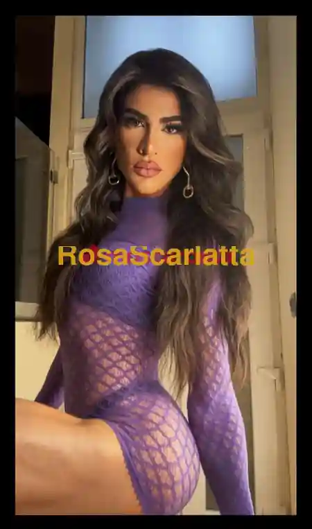 Seconda immagine della gallery