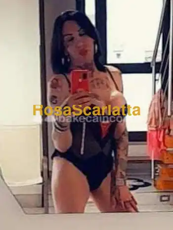 Prima immagine della gallery