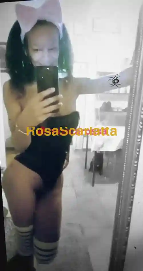 Seconda immagine della gallery