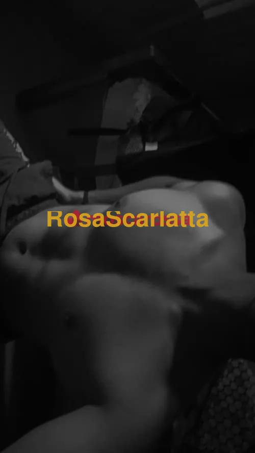 Seconda immagine della gallery