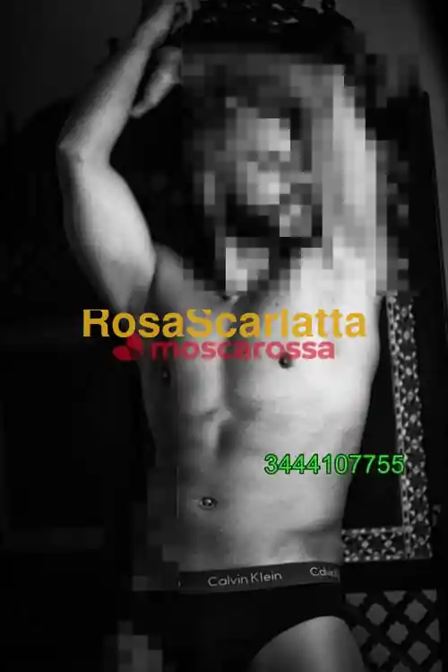 Seconda immagine della gallery