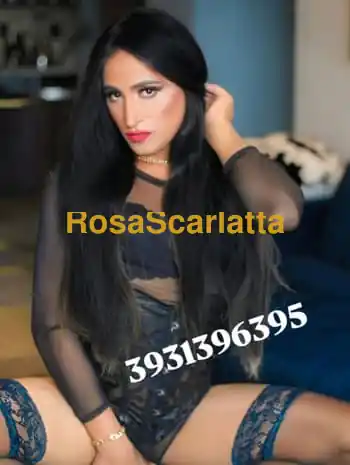 Prima immagine della gallery