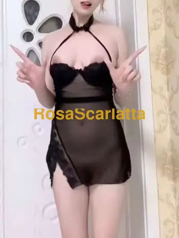 Lisa - Treviso