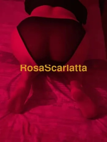 Susy