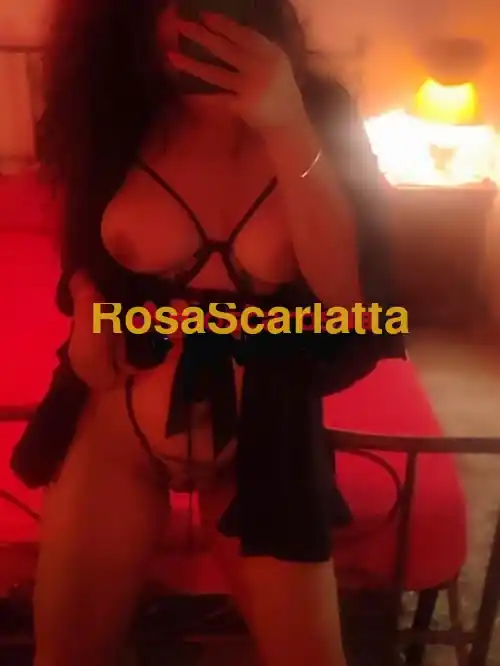 Seconda immagine della gallery