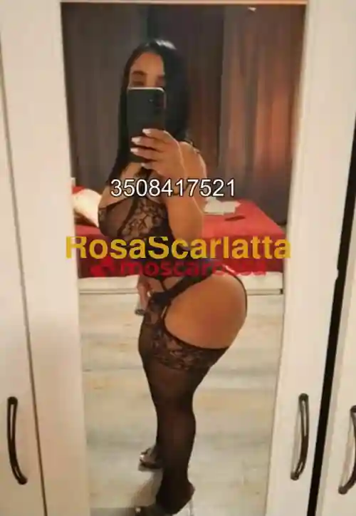 Seconda immagine della gallery