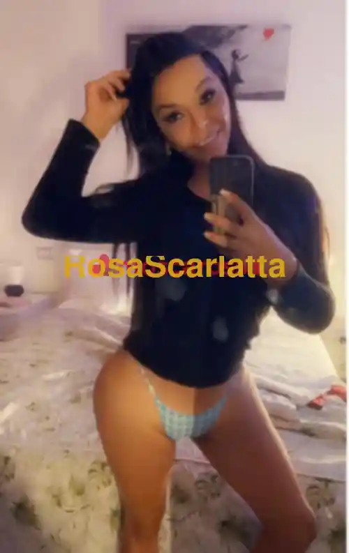 Seconda immagine della gallery