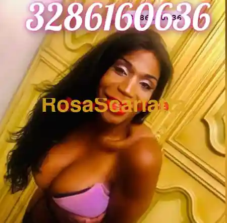 Terza immagine della gallery